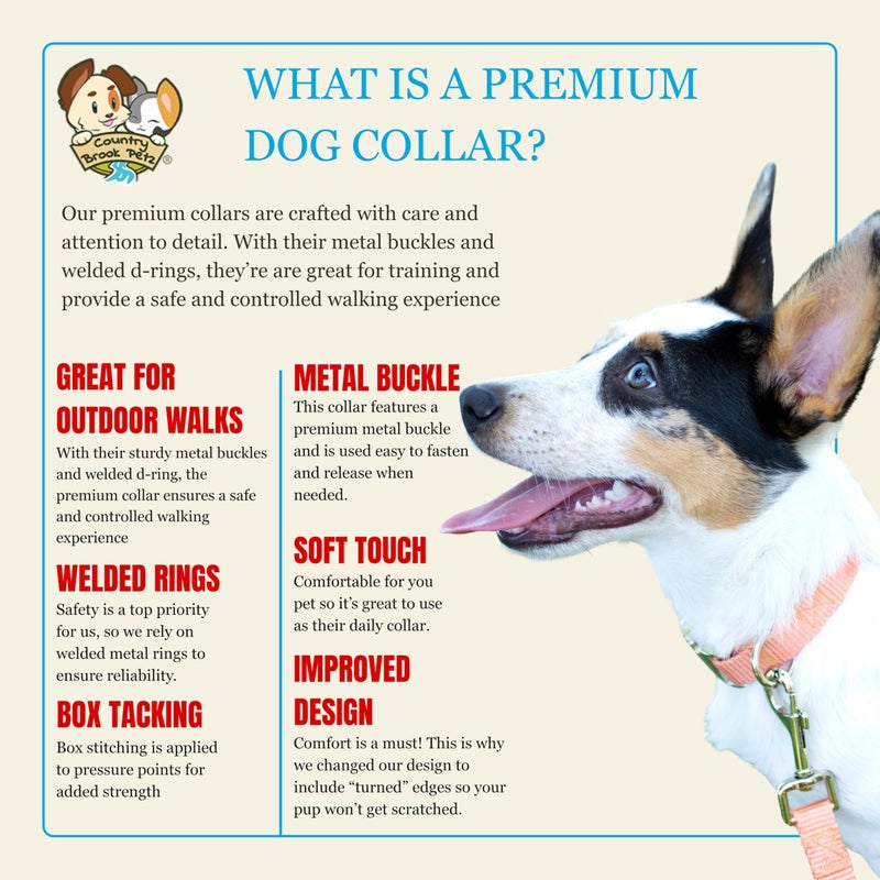 Country Brook Design Country Brook Petz - Premium Nylon Dog Collar with Metal Buckle for Small Medium Large Breeds - 10+ Warm Colors (Small, 3/4 Inch, Coral) - Image 5